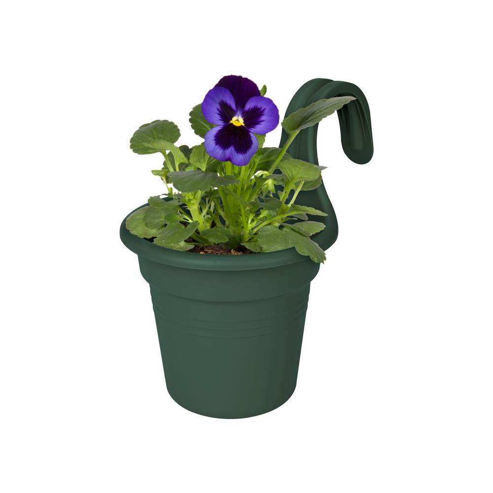 Green Basics Easy Hanger Small