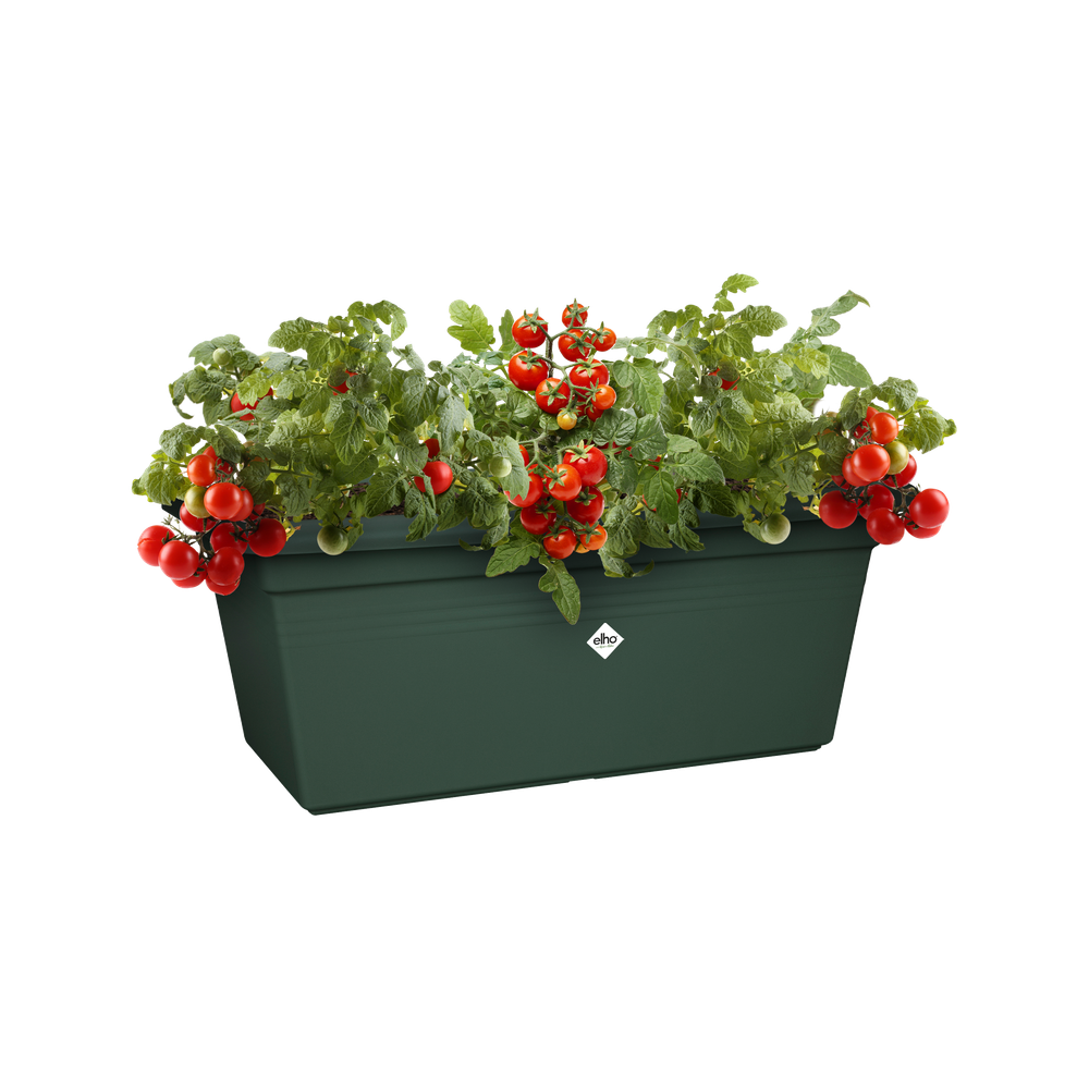 Green Basics Garden Xxl 80