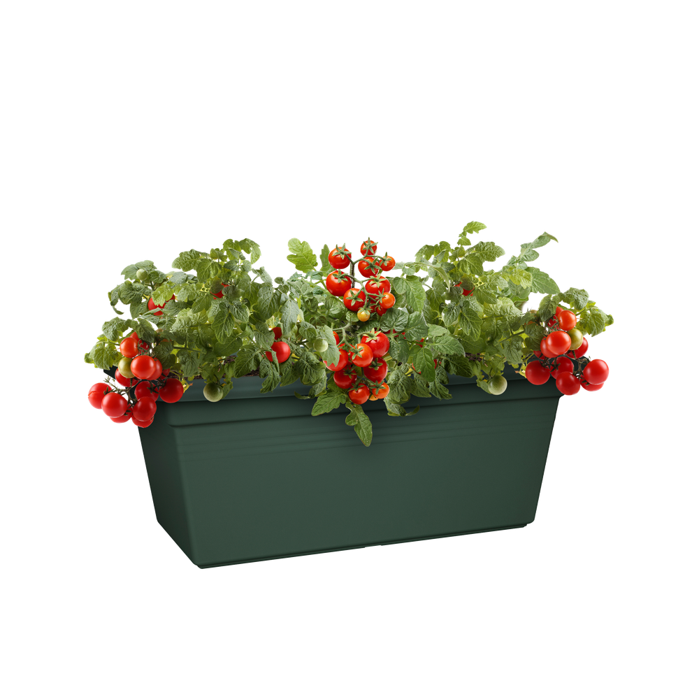 Green Basics Garden Xxl 80