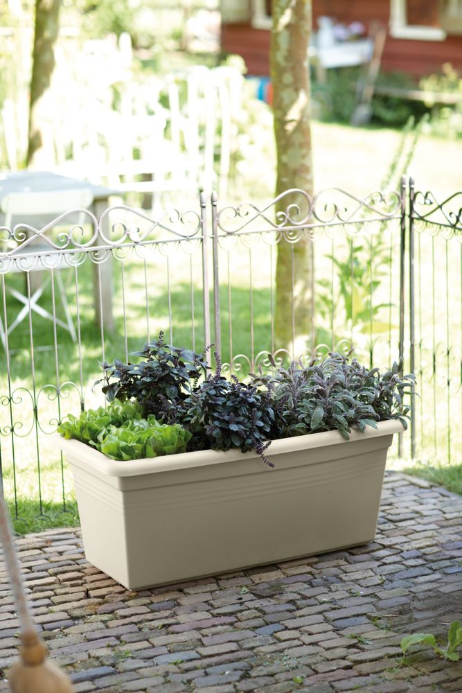 Green Basics Garden Xxl 60