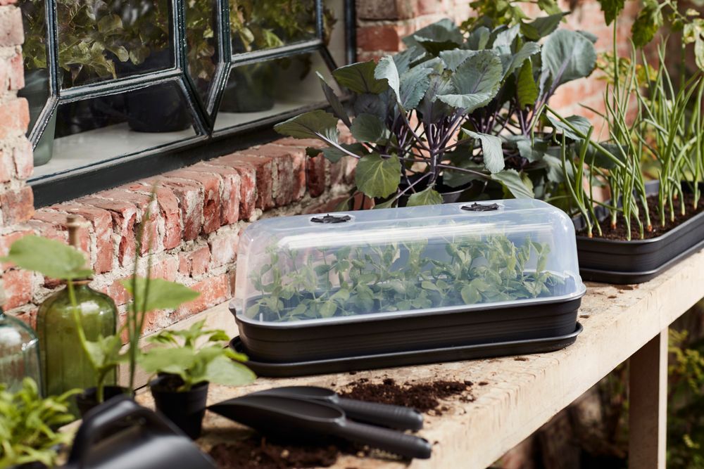 Green Basics Kweekhuis L