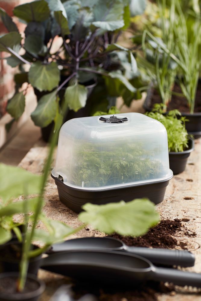 Green Basics Kweektray S