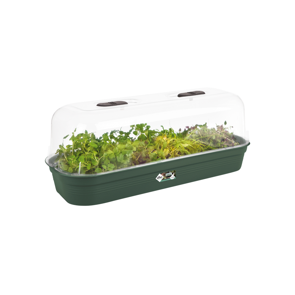 Green Basics Kweektray L