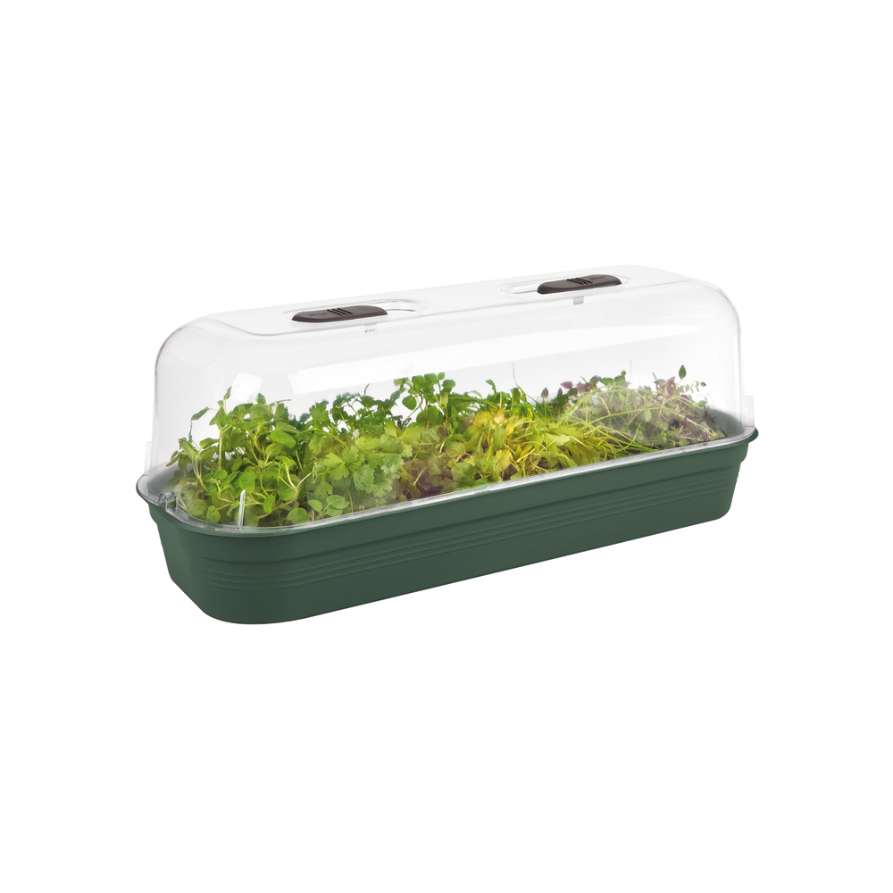 Green Basics Kweektray L