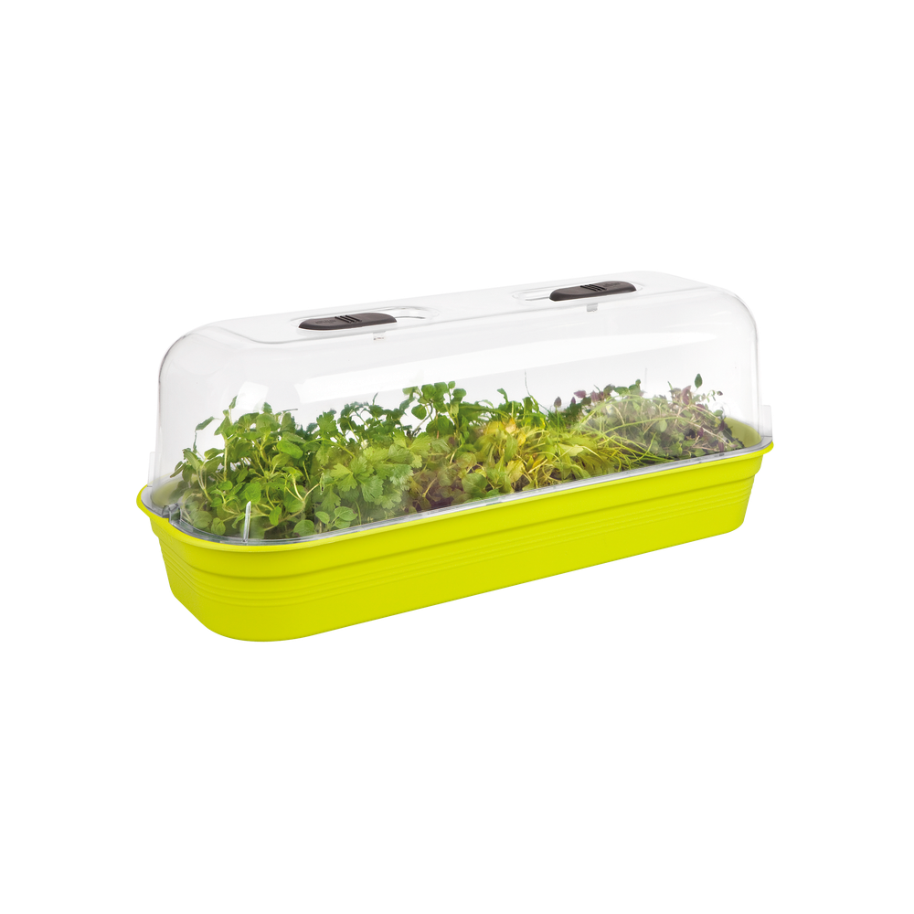 Green Basics Kweektray L
