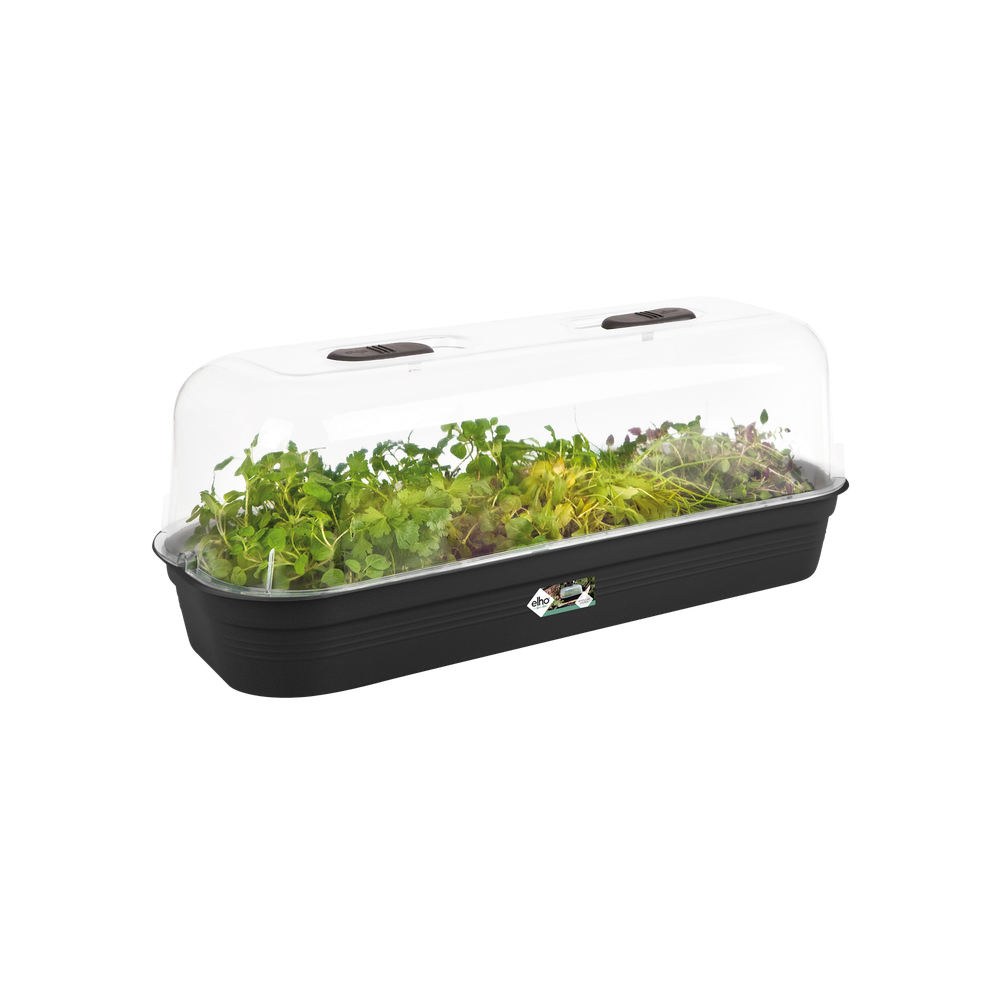 Green Basics Kweektray L