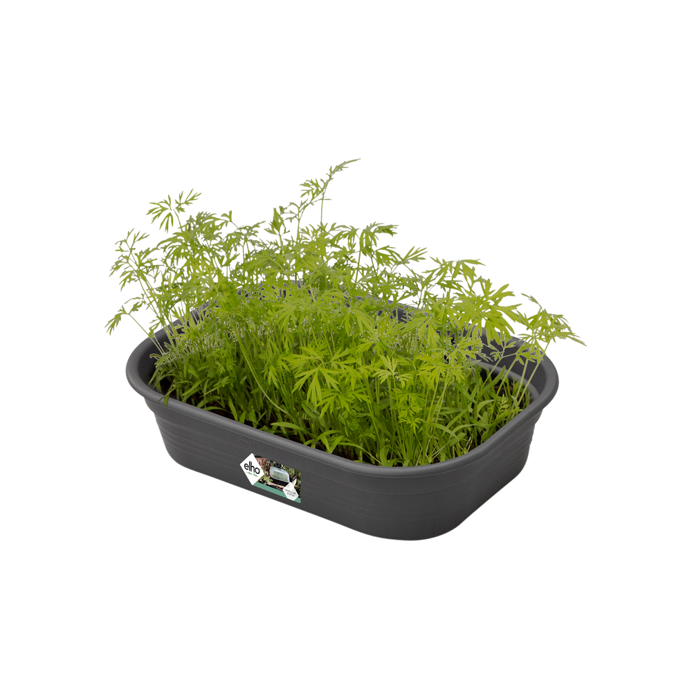 Green Basics Kweektray S