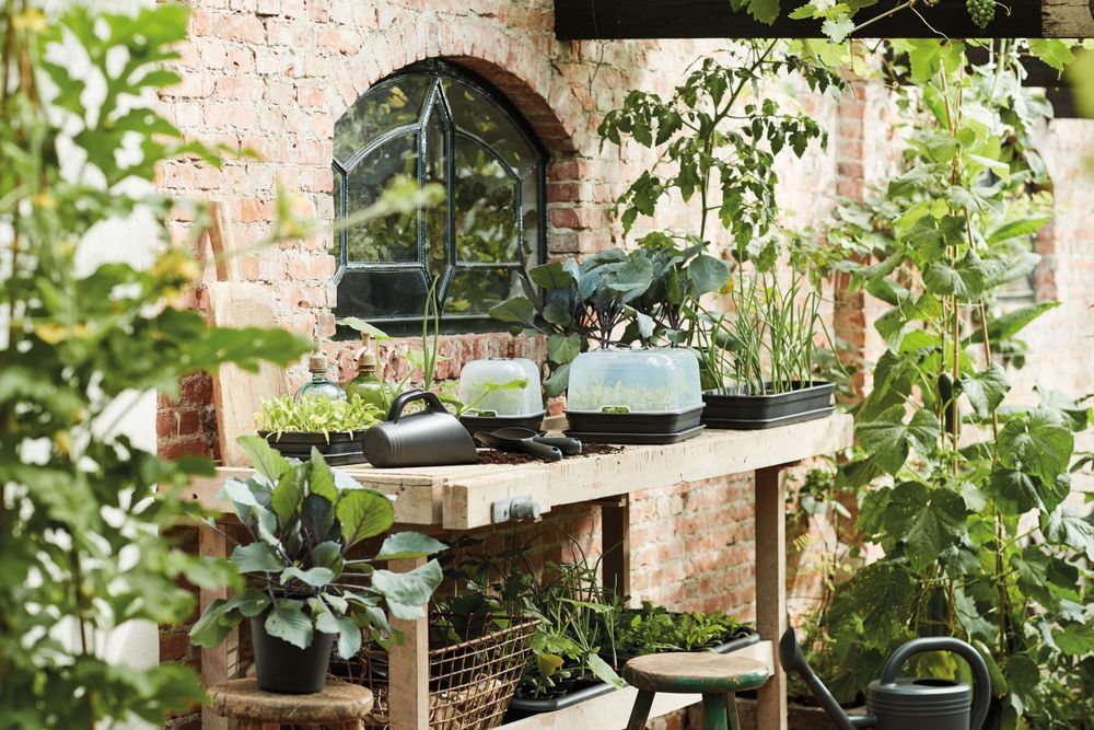 Green Basics Kweekhuis M