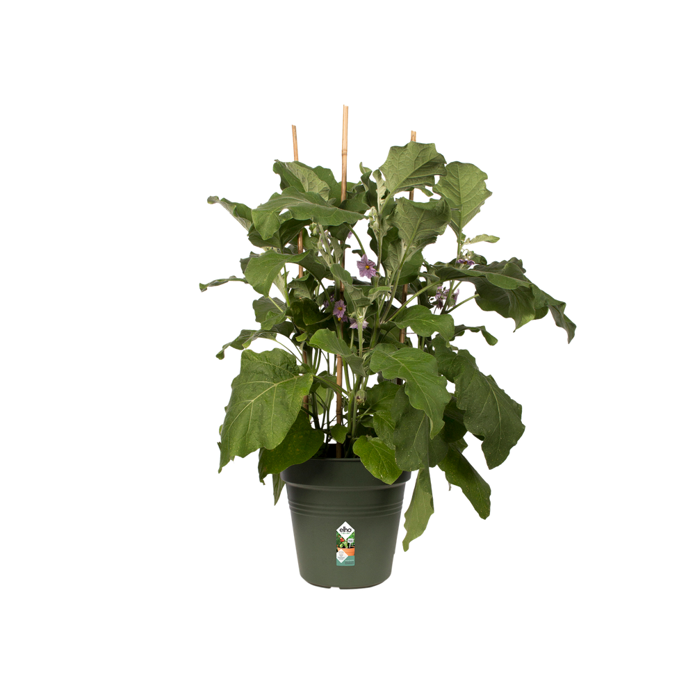 Green Basics Kweekpot 27