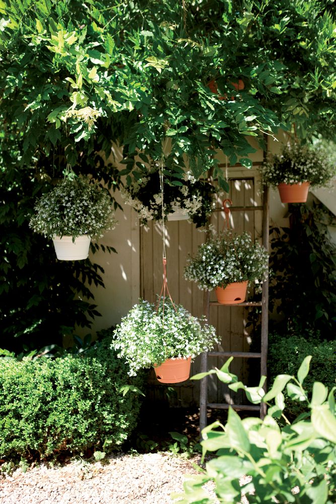 Green Basics Hangschaal 28