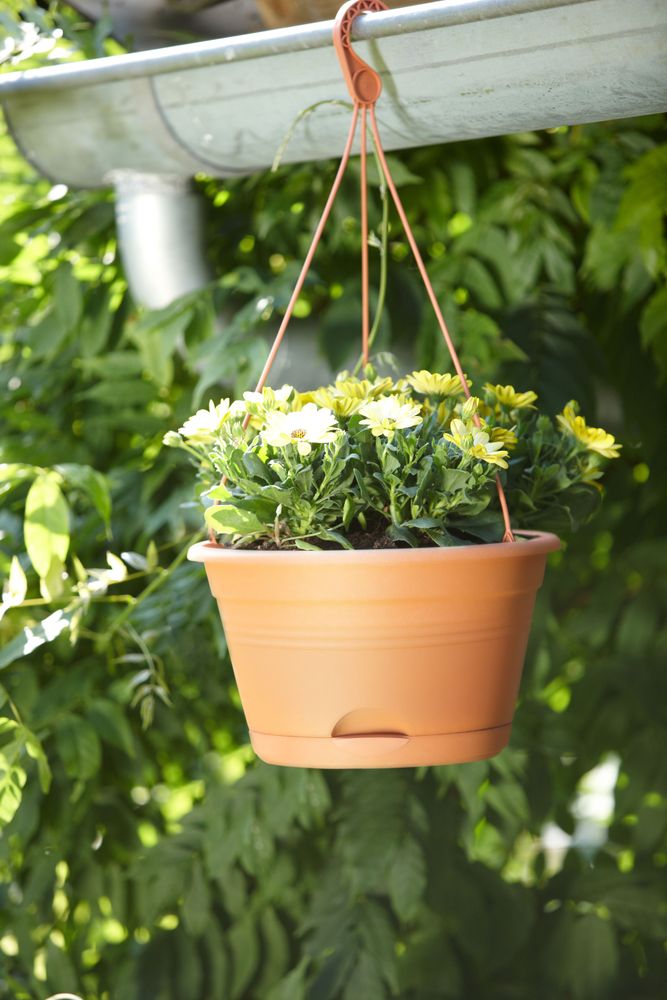 Green Basics Hangschaal 28