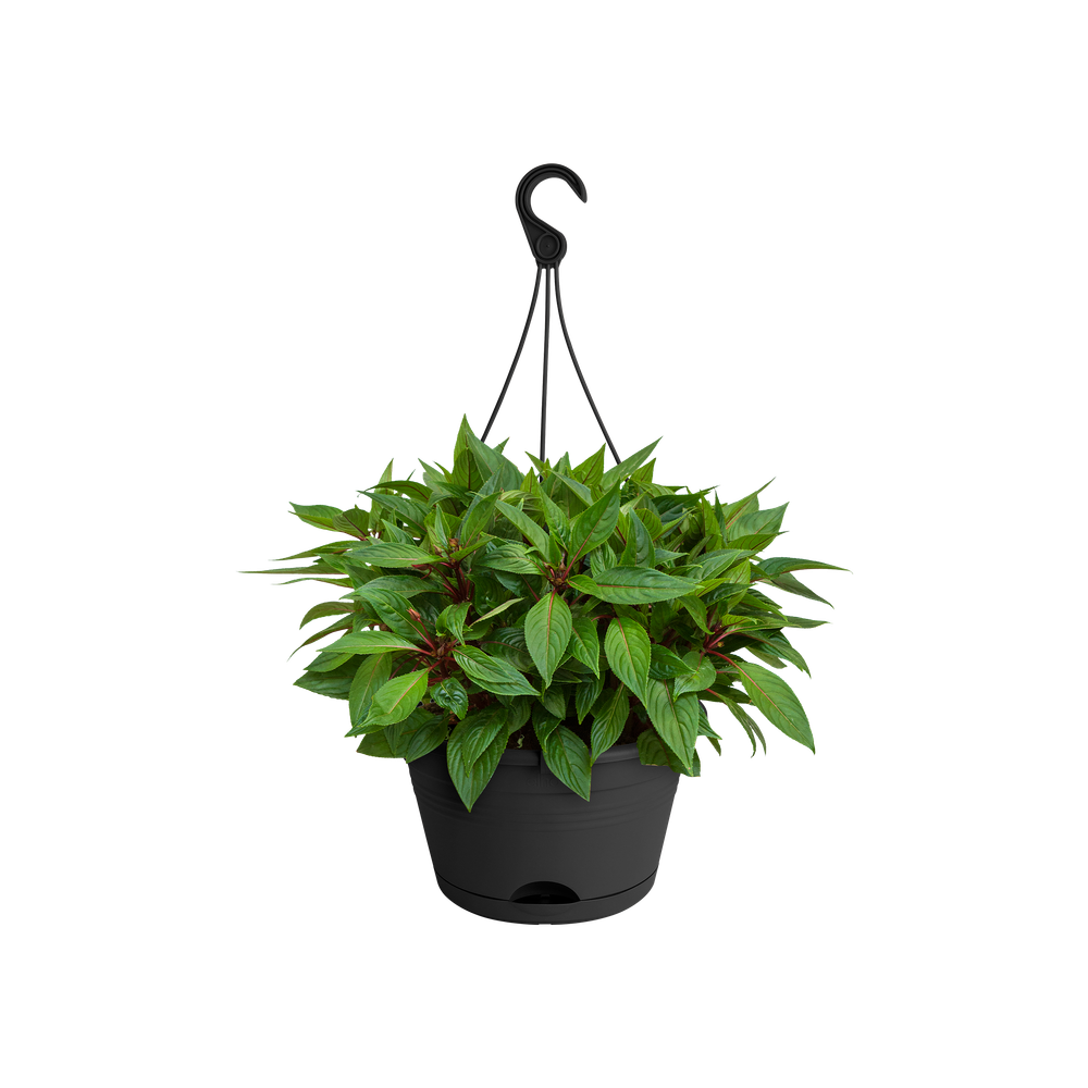 Green Basics Hangschaal 28