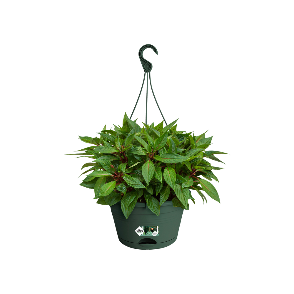 Green Basics Hangschaal 28