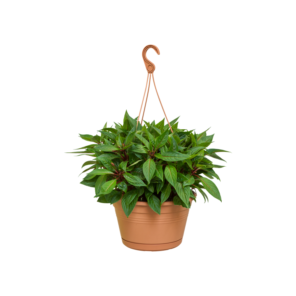 Green Basics Hangschaal 28