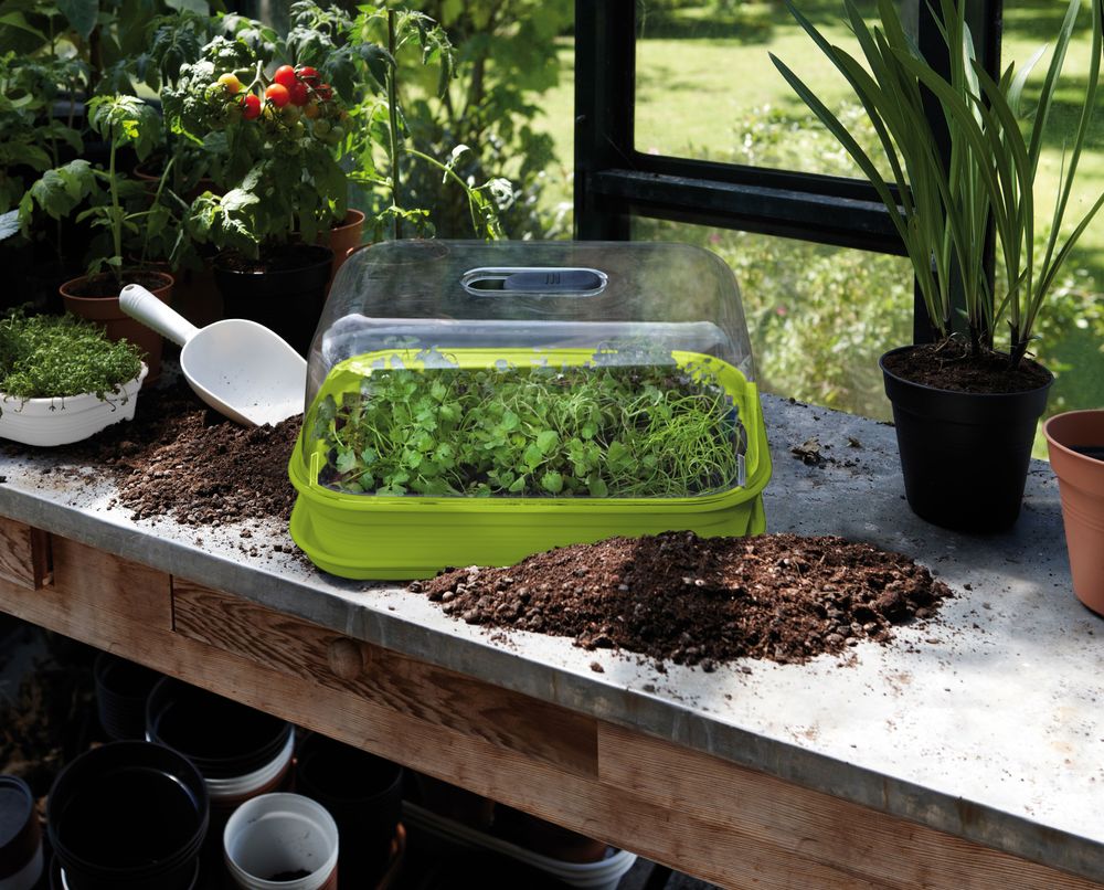 Green Basics Kweektray M