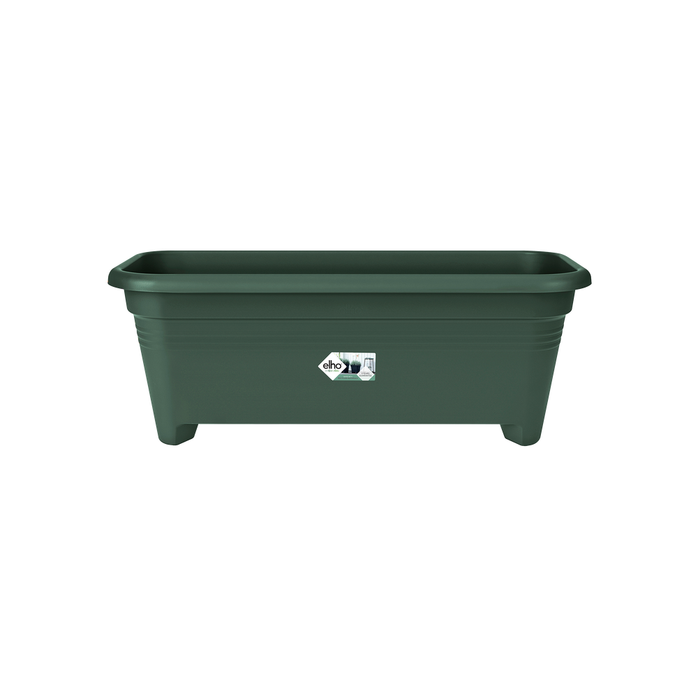 Green Basics Lang 60