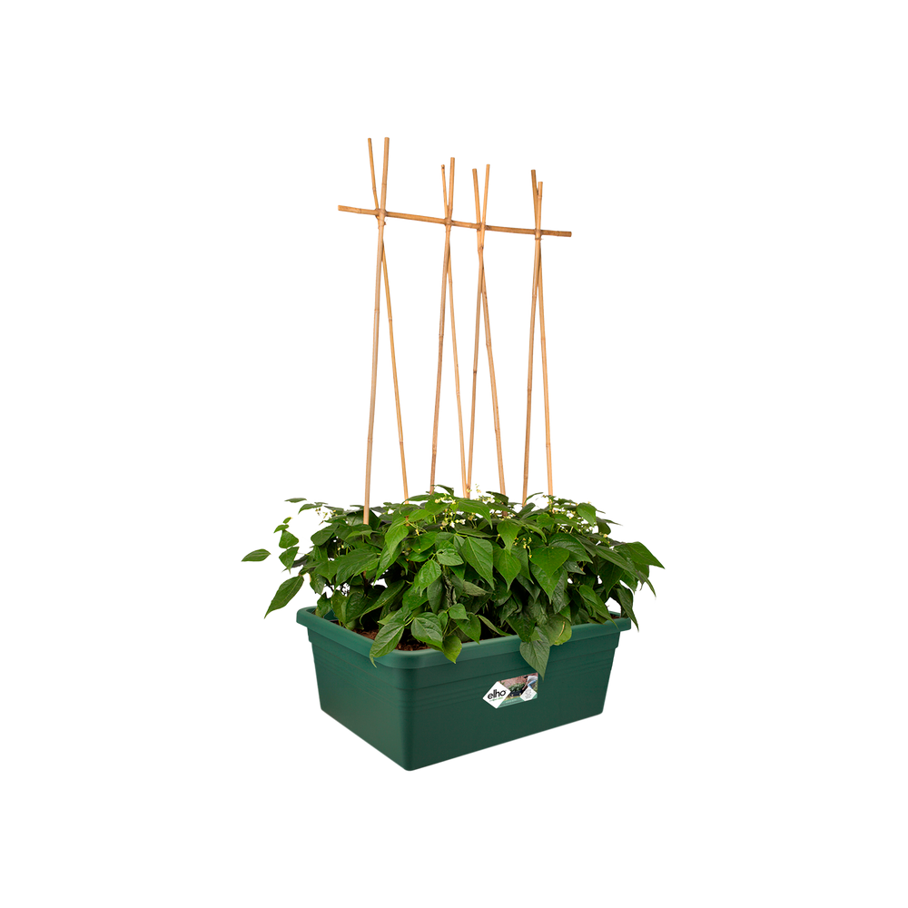 Green Basics Moestuin Op Wielen