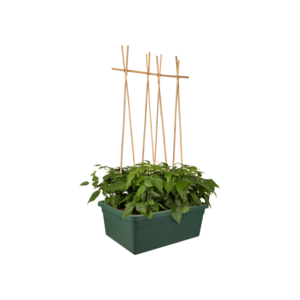 Green Basics Moestuin Op Wielen