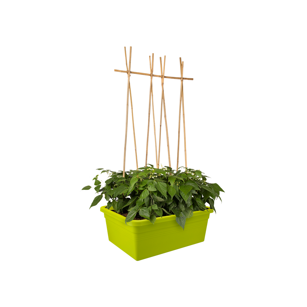 Green Basics Moestuin Op Wielen