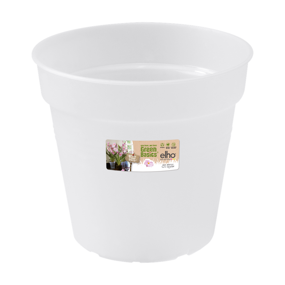 Green Basics Orchidee 15