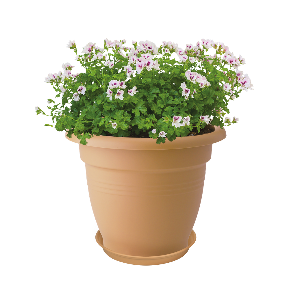 Green Basics Schotel 34