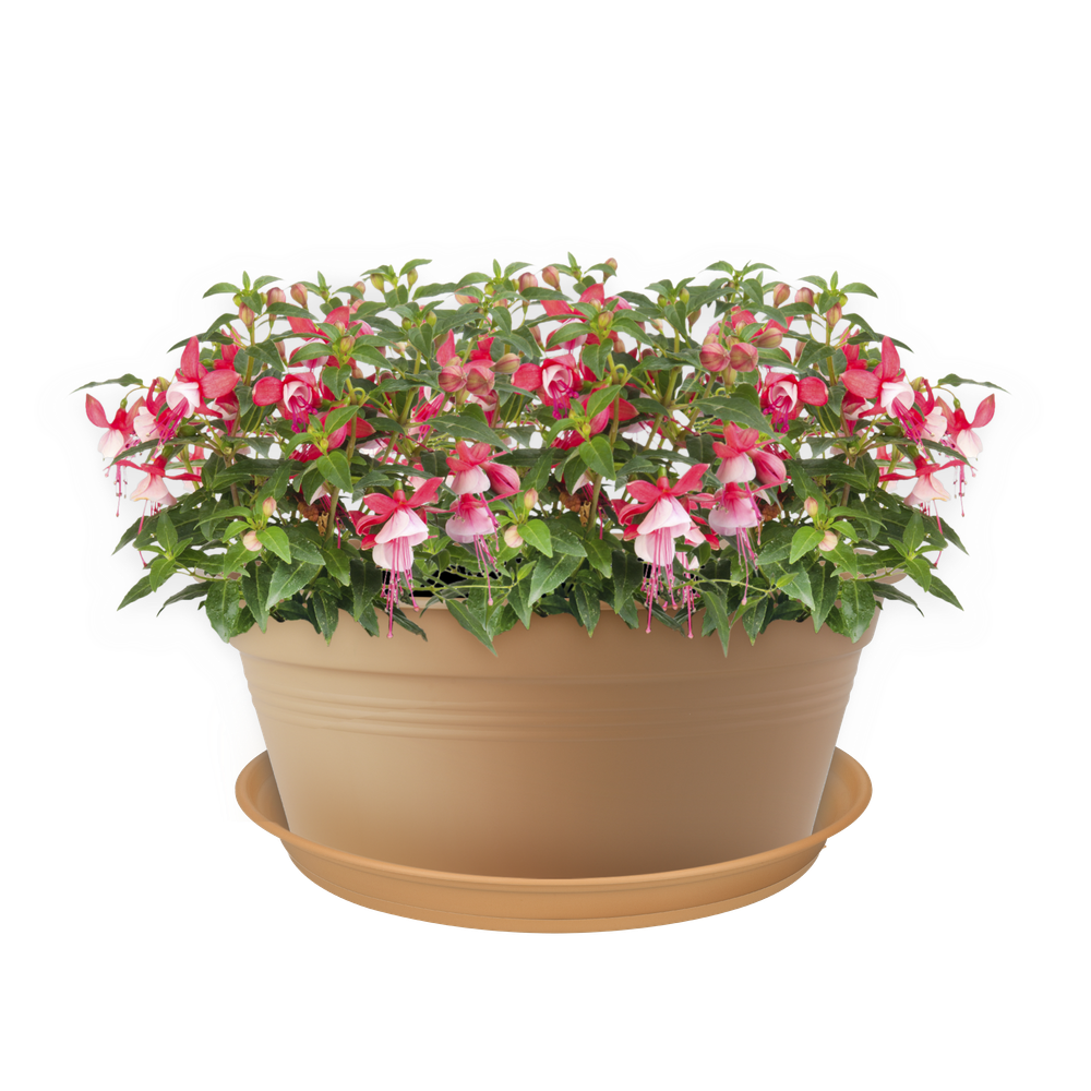 Green Basics Schotel 45