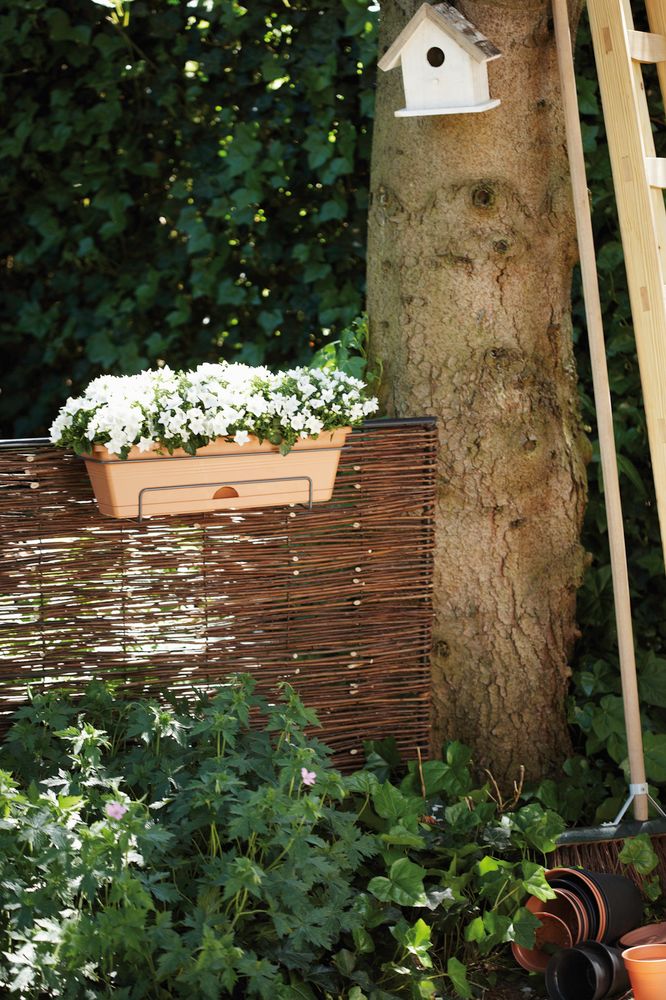 Green Basics Balkonbak Allin1 70