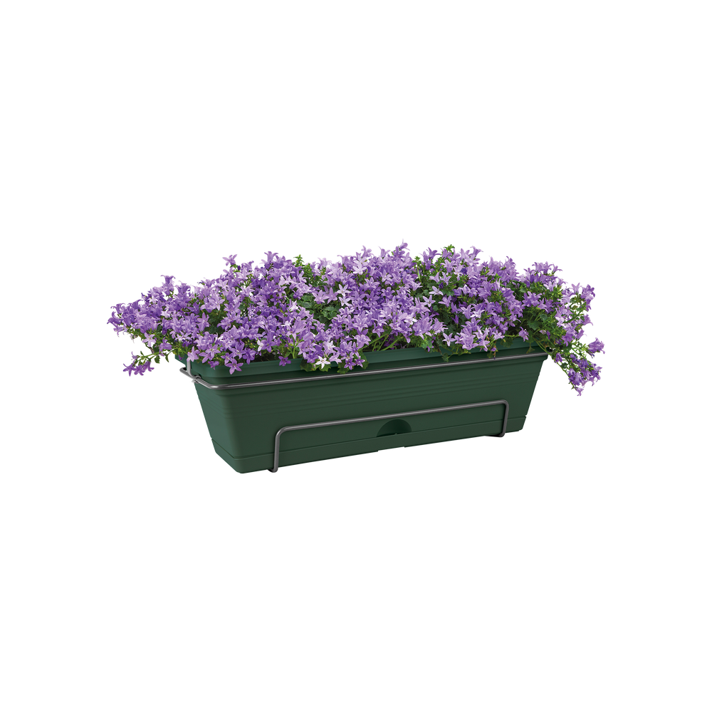 Green Basics Balkonbak Allin1 50