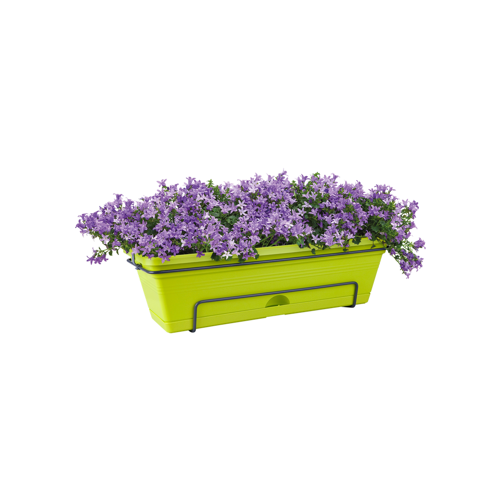 Green Basics Balkonbak Allin1 50