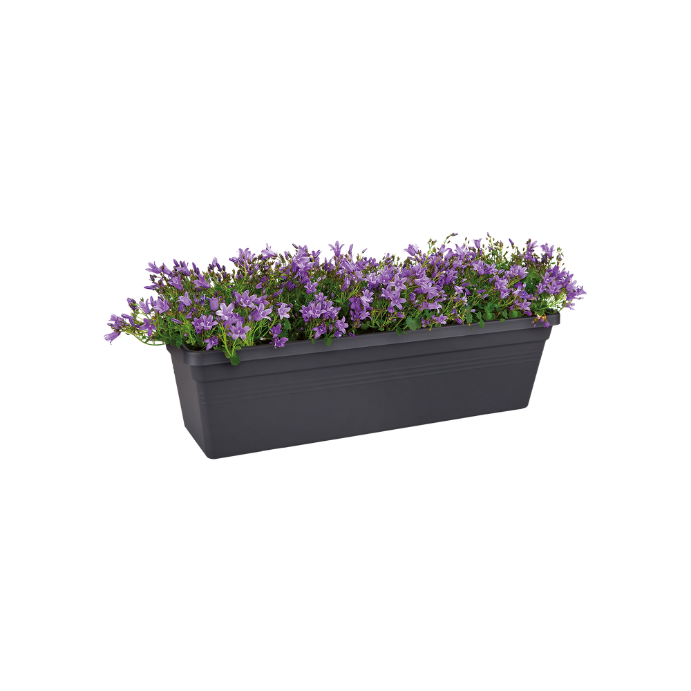 Green Basics Balkonbak 50