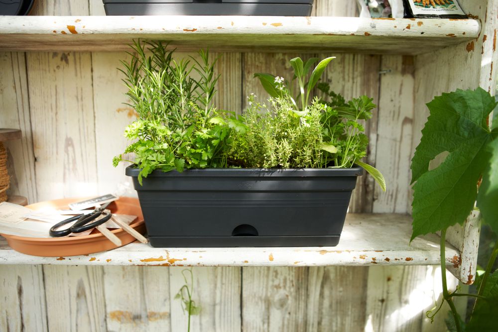 Green Basics Balkonbak Mini 30