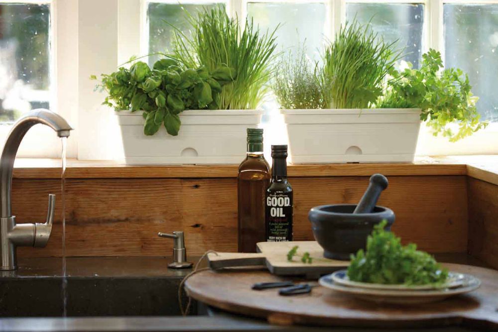 Green Basics Balkonbak Mini 30