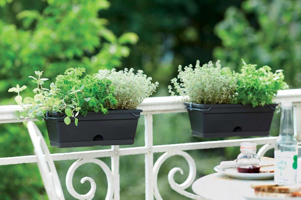 Green Basics Balkonbak Mini 30