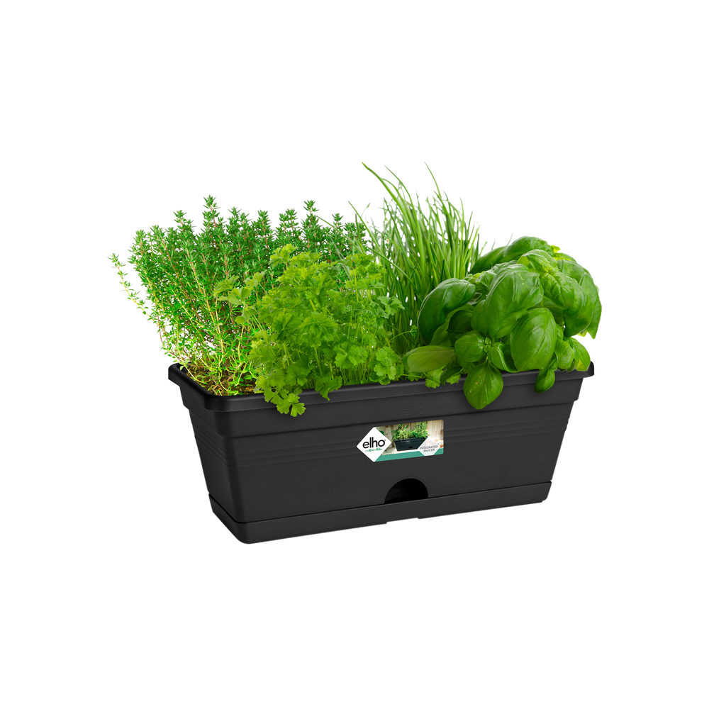 Green Basics Balkonbak Mini 30