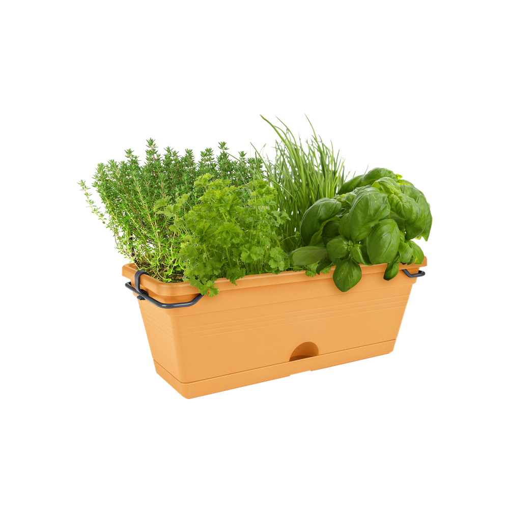 Green Basics Balkonbak Mini 30