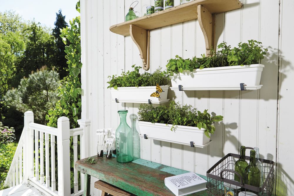 Green Basics Balkonbak Schotel 50