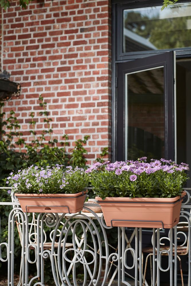 Green Basics Balkonbak Xl Allin1 55