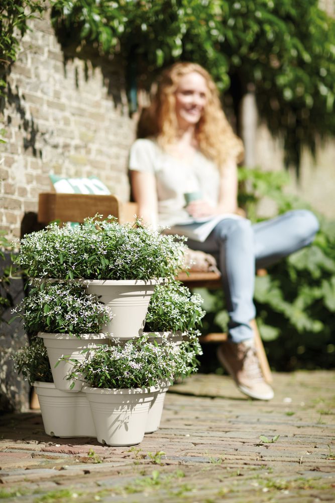 Green Basics Verticaal Tuinieren 46