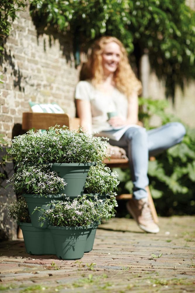 Green Basics Verticaal Tuinieren 46
