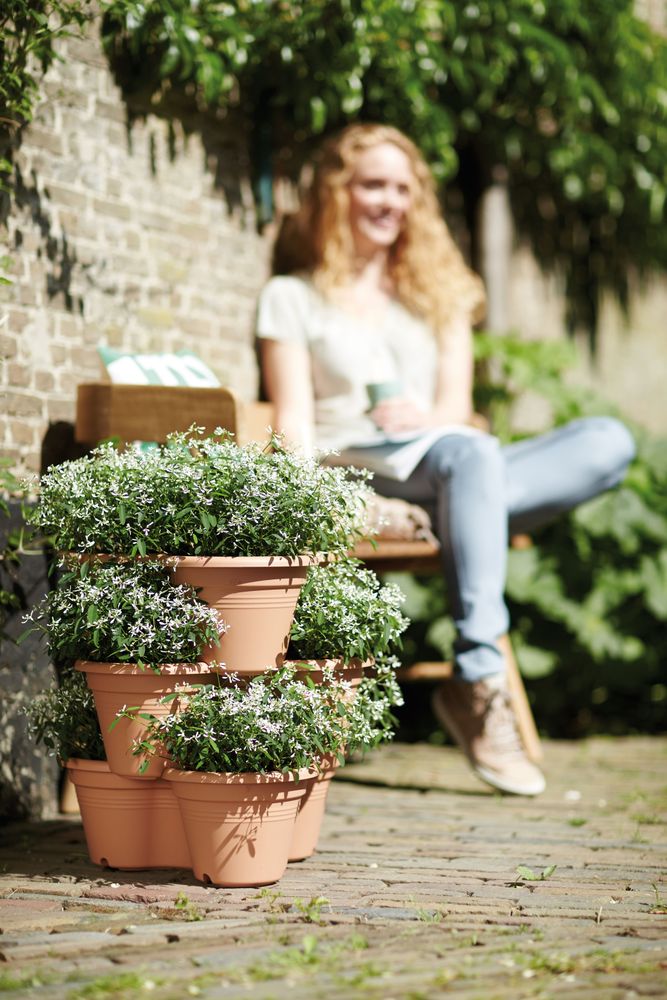 Green Basics Verticaal Tuinieren 46