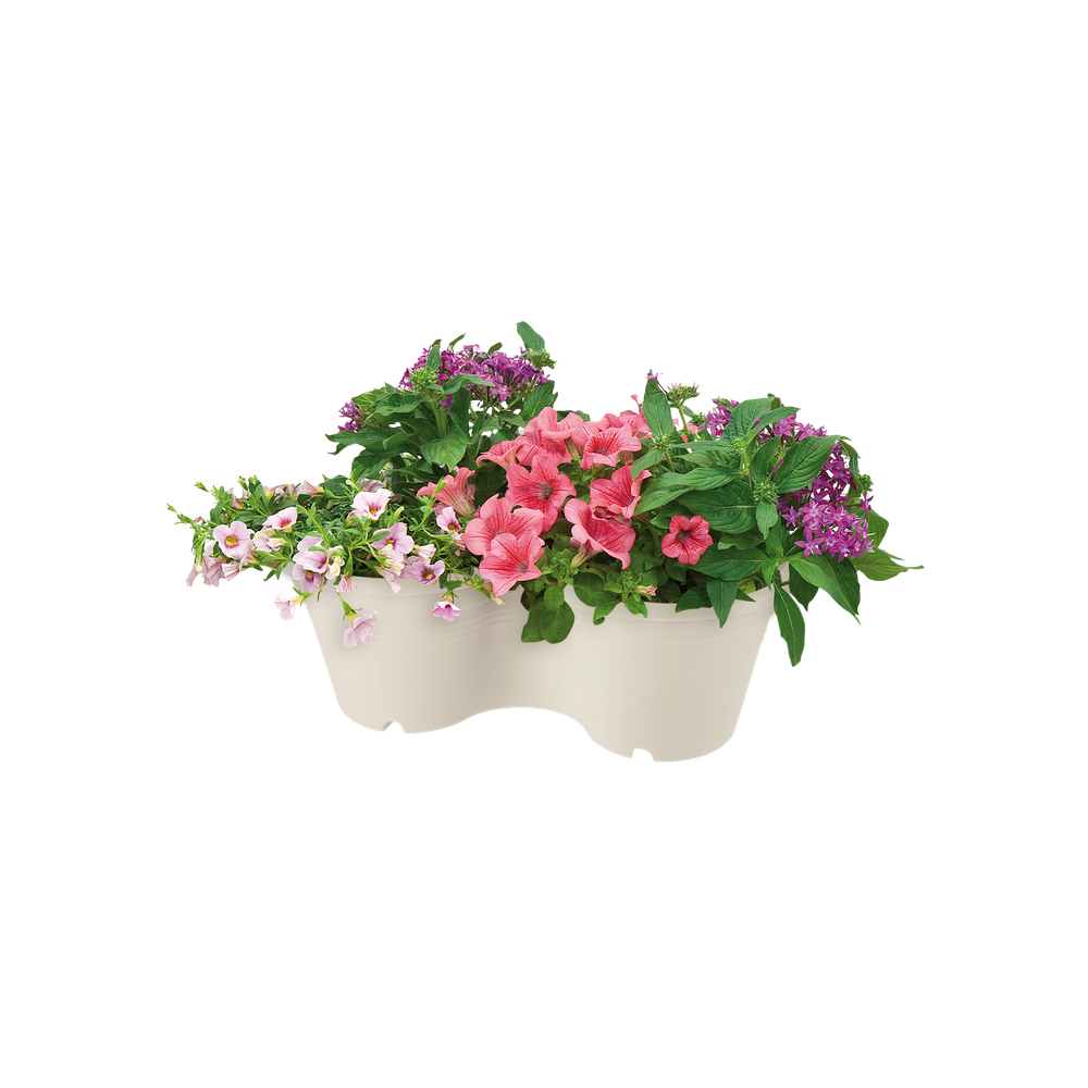 Green Basics Verticaal Tuinieren 46