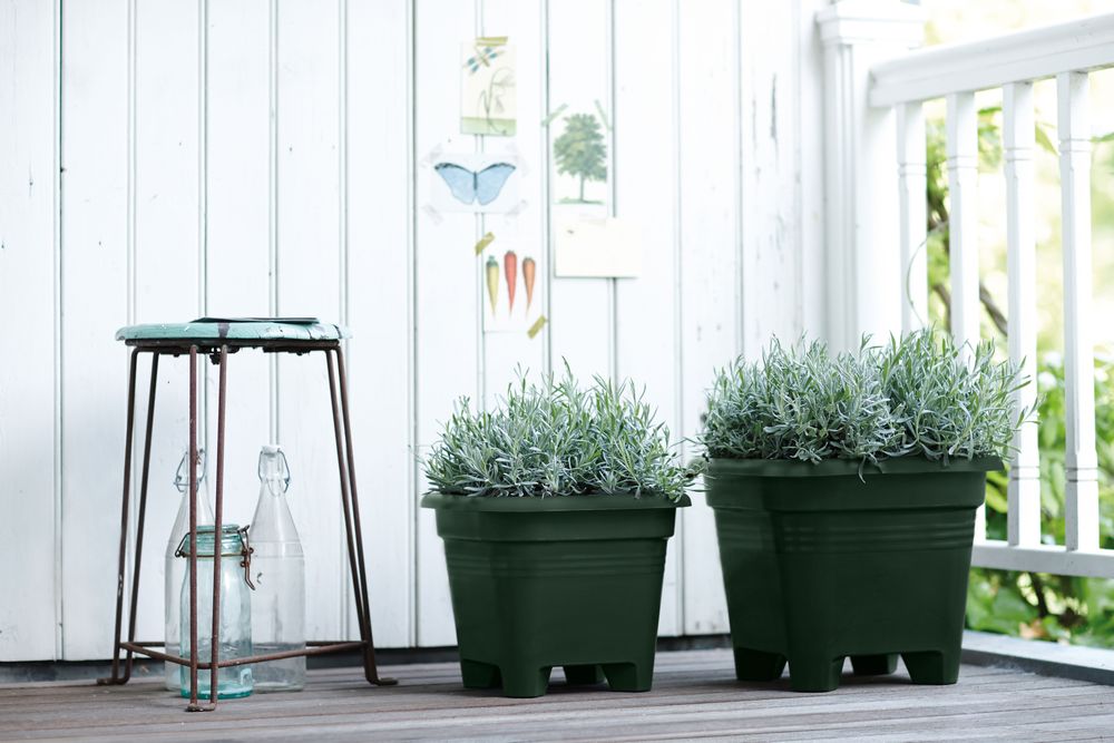 Green Basics Vierkant 30