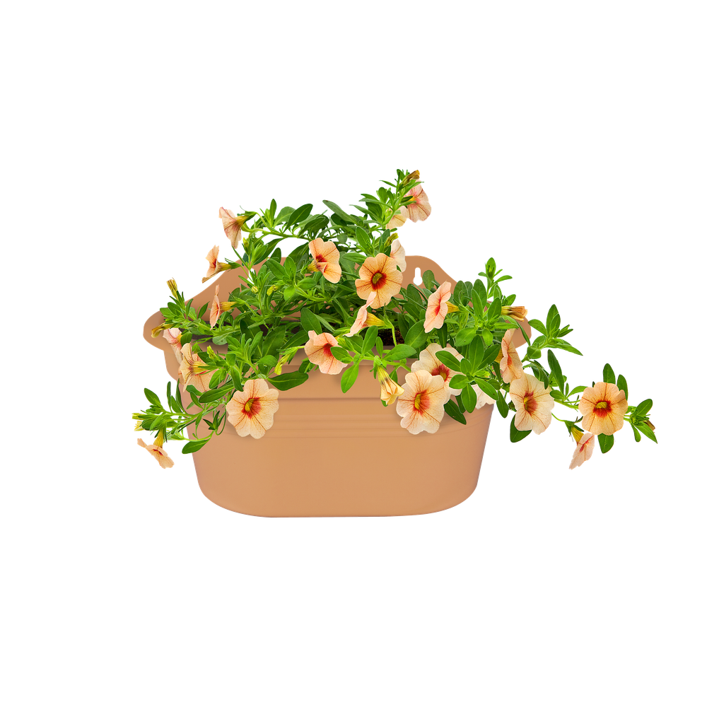 Green Basics Wandbak 30