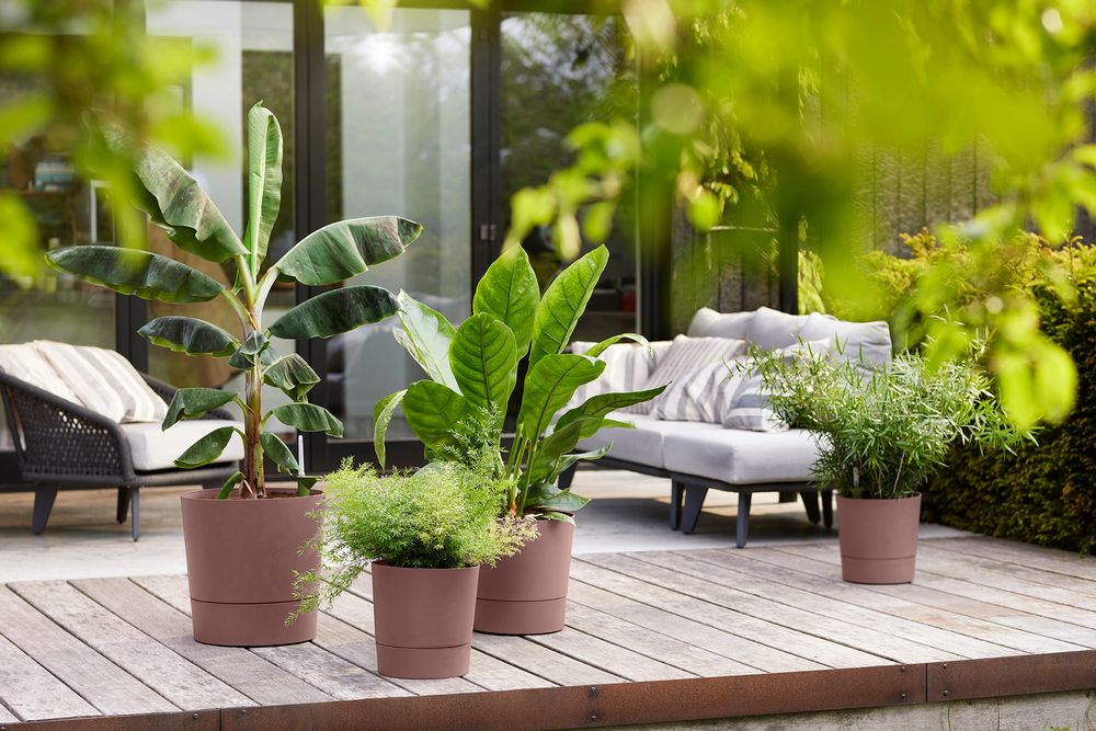 Greensense Aqua Care Rond 43