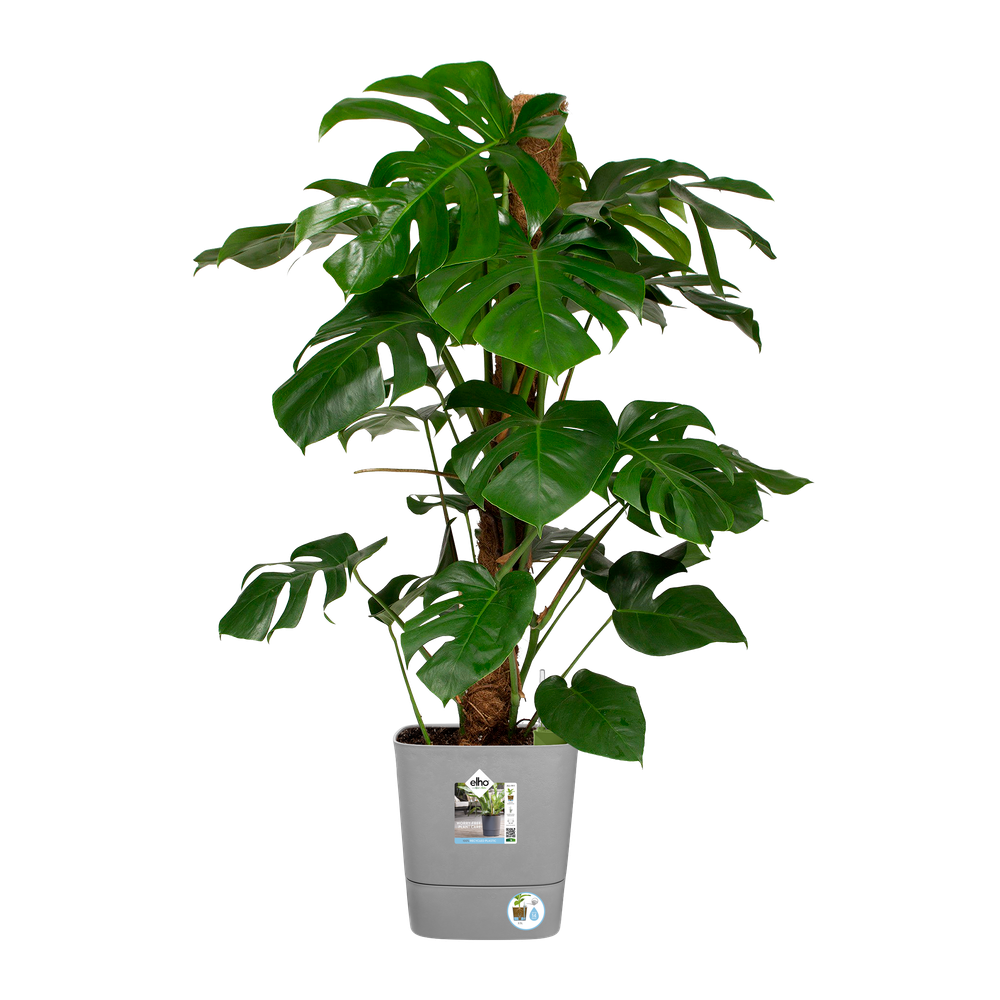 Greensense Aqua Care Vierkant 30