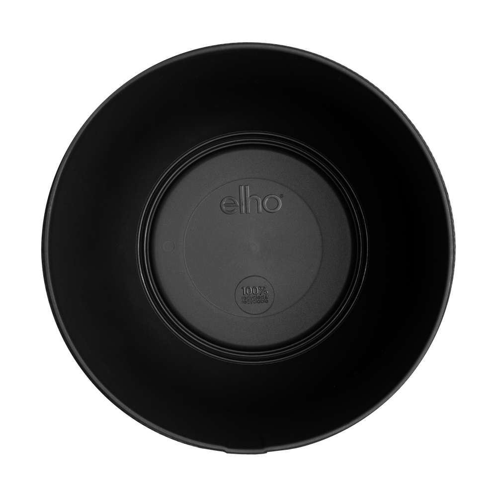Jazz Rond 26