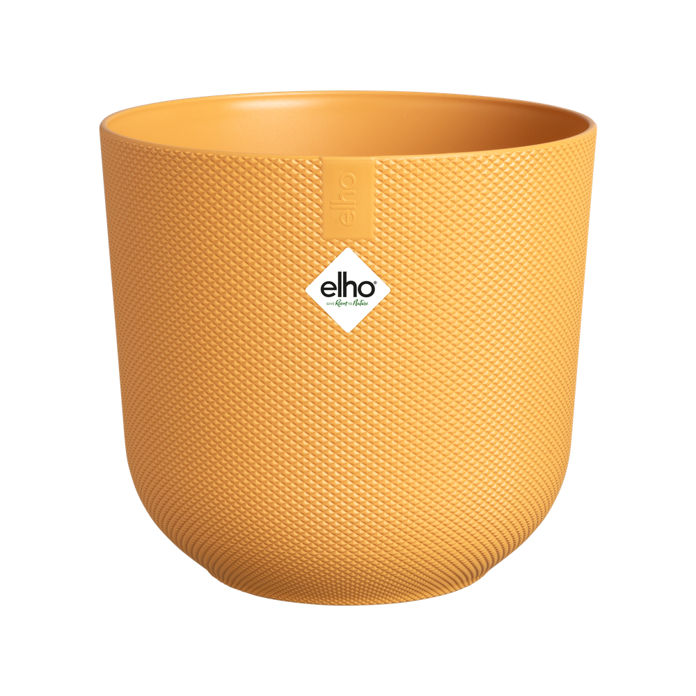Jazz Rond 26