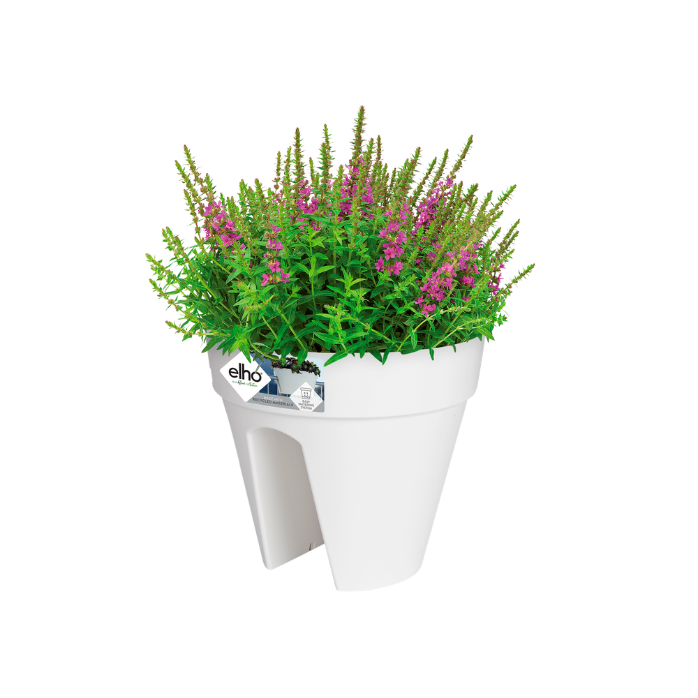 Loft Urban Flower Bridge 30