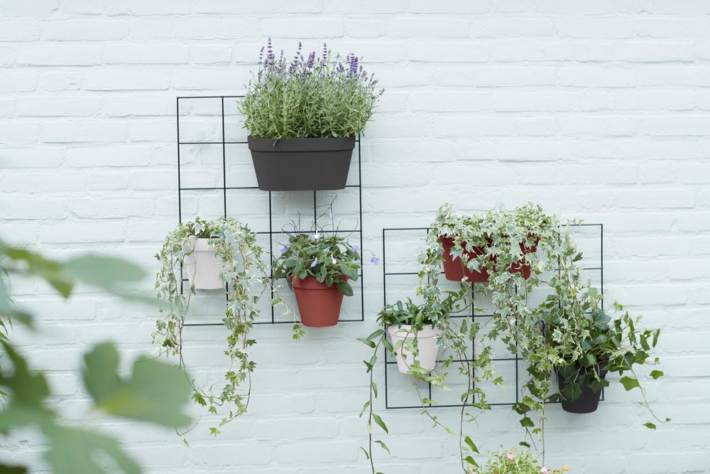 Loft Urban Green Wall Rek 59