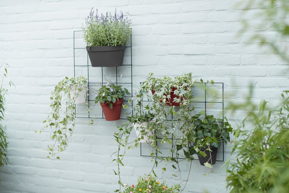 Loft Urban Green Wall Rek 59